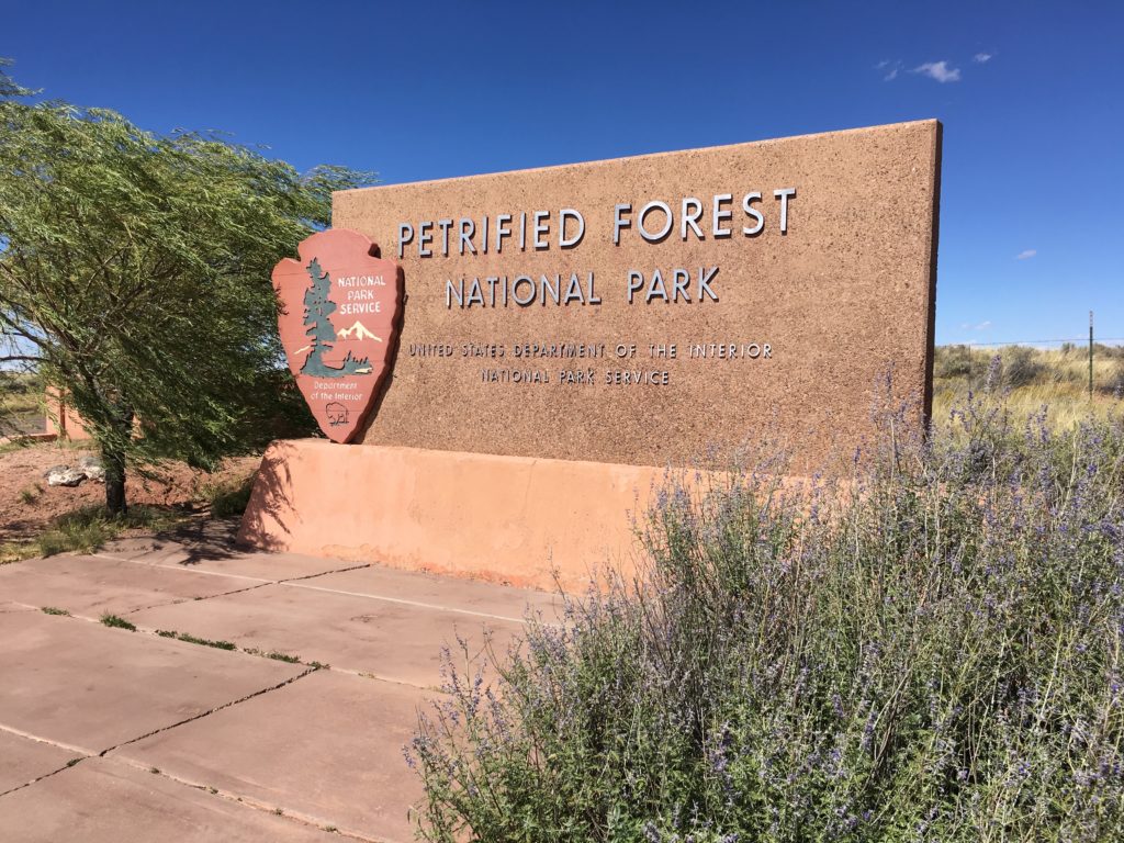The Petrified Forest is a terrific park for families.