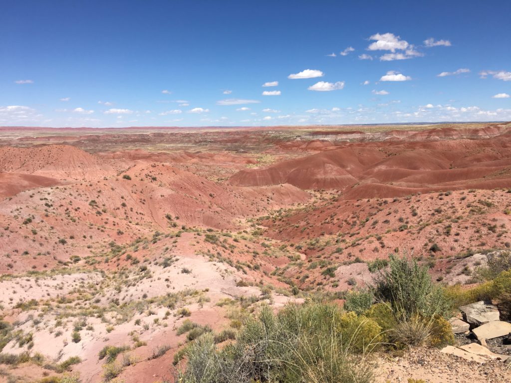 The Painted Desert at the Petrified Forest National Park.