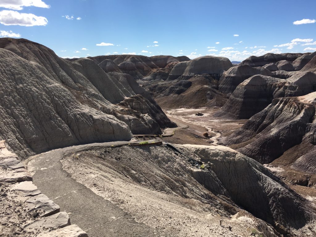 Badlands at the Petrified Forest National Park.