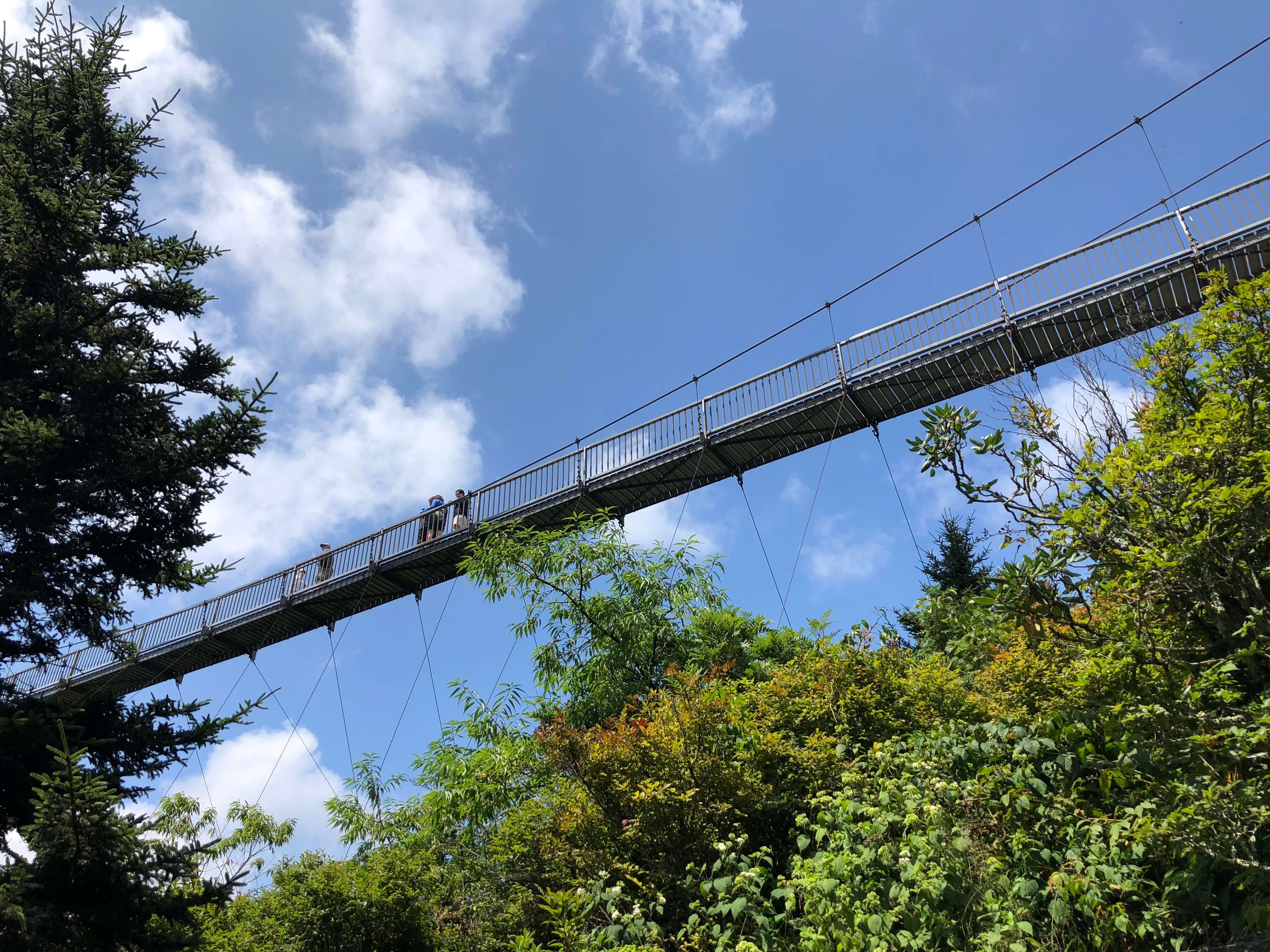 Mile High Swinging Bridge at Grandfather Mountain